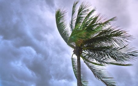 ৬০ কিলোমিটার বেগে ধেয়ে আসছে ঝড়, সতর্কতা সংকেত