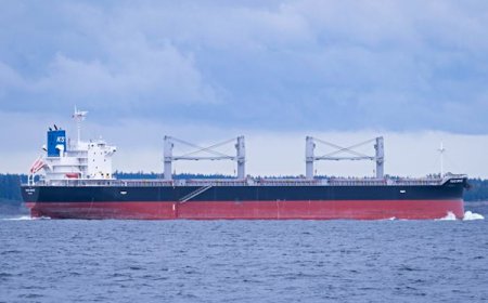 পায়রায় ভিড়েছে কয়লাবাহী দ্বিতীয় জাহাজ