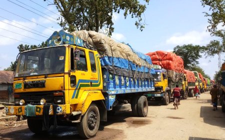 ভারত থেকে এসেছে কাঁচামরিচ বোঝাই ছয়টি ট্রাক
