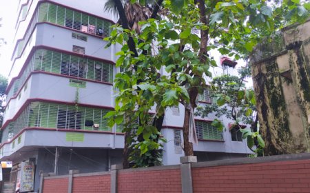 সাবেক সিভিল সার্জনের বাড়িতে দুর্ধর্ষ চুরি