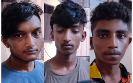 মাগুরায় অস্ত্রসহ গ্রেফতার তিন