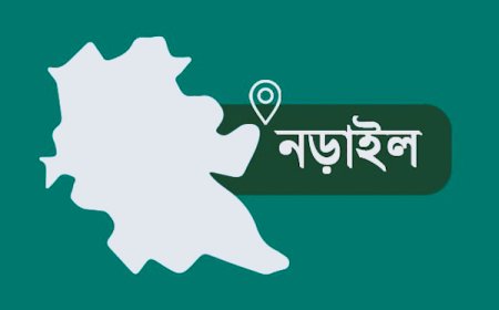 নড়াইলে বিদ্যুৎস্পৃষ্টে এক ব্যক্তির মৃত্যু