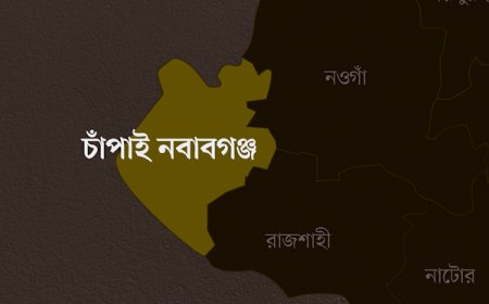 চাঁপাইনবাবগঞ্জে ট্রেনে কাটা পড়ে যুবকের মৃত্যু