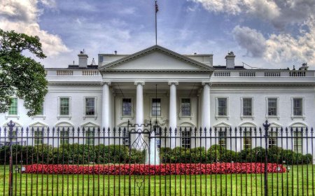 হোয়াইট হাউস থেকে কোকেন উদ্ধার