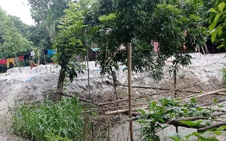 ঘিওরে কাবিটা প্রকল্পে শ্রমিকের বদলে ড্রেজার! বিলের টাকাও উত্তোলন