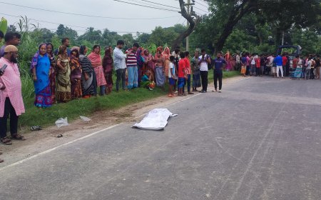 ট্রাক চাপায় ভ্যান চালক নিহত