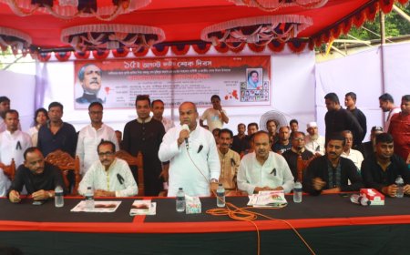 বিএনপি স্বাধীনতার বিরুদ্ধে আঘাত হানতে চায়: এমপি দুর্জয়