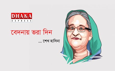 বেদনায় ভরা দিন