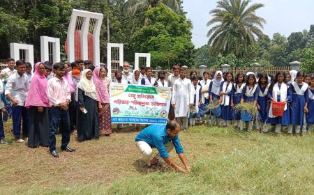 ডেঙ্গু: শিক্ষক-শিক্ষার্থীরা মিলে পরিষ্কার করলেন বিদ্যালয়ের আঙিনা