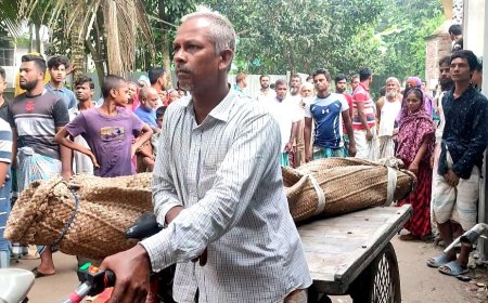 মানিকগঞ্জে একই দিনে তিন যুবকের আত্মহত্যা