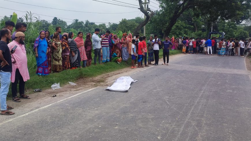 ট্রাক চাপায় ভ্যান চালক নিহত