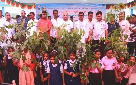 স্মার্ট বাংলাদেশ নির্মাণে নিরলসভাবে কাজ করে যাচ্ছেন প্রধানমন্ত্রী: এমপি দুর্জয়