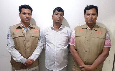 মানিকগঞ্জে ১৬০০ পিস ইয়াবাসহ  গ্রেফতার ১