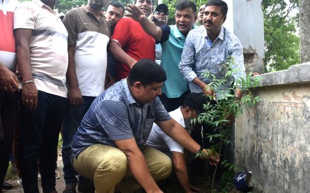 মানিকগঞ্জে এক লাখ গাছের চারা লাগাবে যুবলীগ