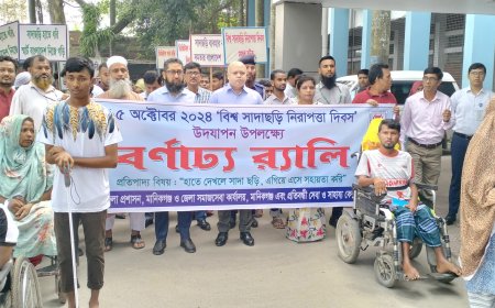 মানিকগঞ্জে বিশ্ব সাদাছড়ি নিরাপত্তা দিবস উৎযাপিত