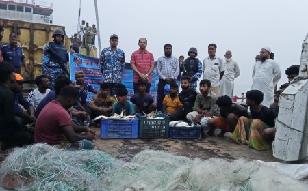 ইলিশ শিকার: ১৮ জনকে বিনাশ্রম কারাদণ্ড