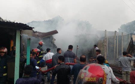 শিবালয়ে আগুনে পুড়ল ৮টি দোকান