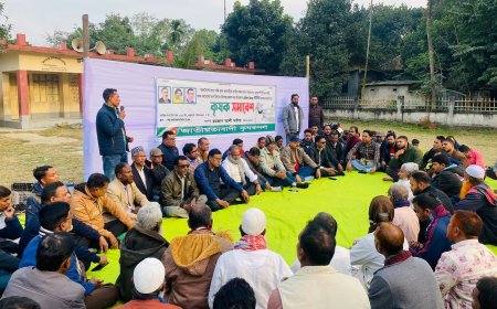 বেতিলা-মিতরা ইউনিয়নে কৃষকদলের সমাবেশ