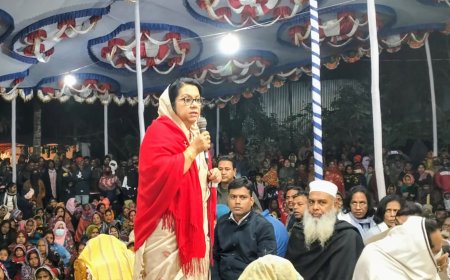 বিএনপি'র বিরুদ্ধে অহেতুক দোষারোপ করা হচ্ছে:  রিতা