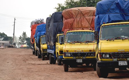 ট্রাকের বডির রঙ হলুদ কেন?