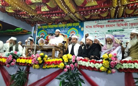 টেপড়ায় তাফসিরুল কোরআন মাহফিল অনুষ্ঠিত