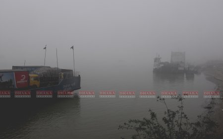 কুয়াশায় পাটুরিয়া-দৌলতদিয়ায় ফেরি চলাচল বন্ধ