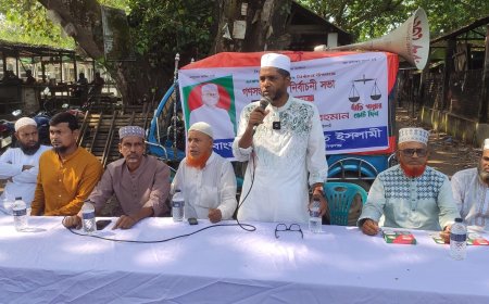 ক্ষমতায় গেলে মানিকগঞ্জকে স্যাটালাইট শহর হিসেবে গড়ে তোলা হবে: সাবেক কেন্দ্রীয় শিবির সভাপতি জাহিদ